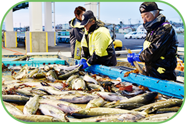 「産地とのつながりも大切にしたいな・・・」知ってください、持続可能な漁業を目指す産直産地。