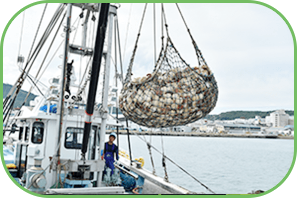 「鮮度のいい魚介をおうちでも味わいたい・・・」瞬間湯通し製法で、うまみを逃さず直送します。